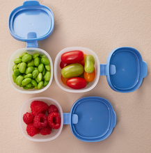 Load image into Gallery viewer, BBox Snack Tubs