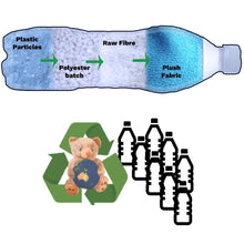 Load image into Gallery viewer, Olympia Orca