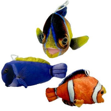 Load image into Gallery viewer, Coral Fish